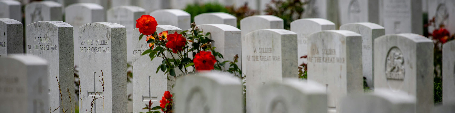 All Quiet on the Western Front