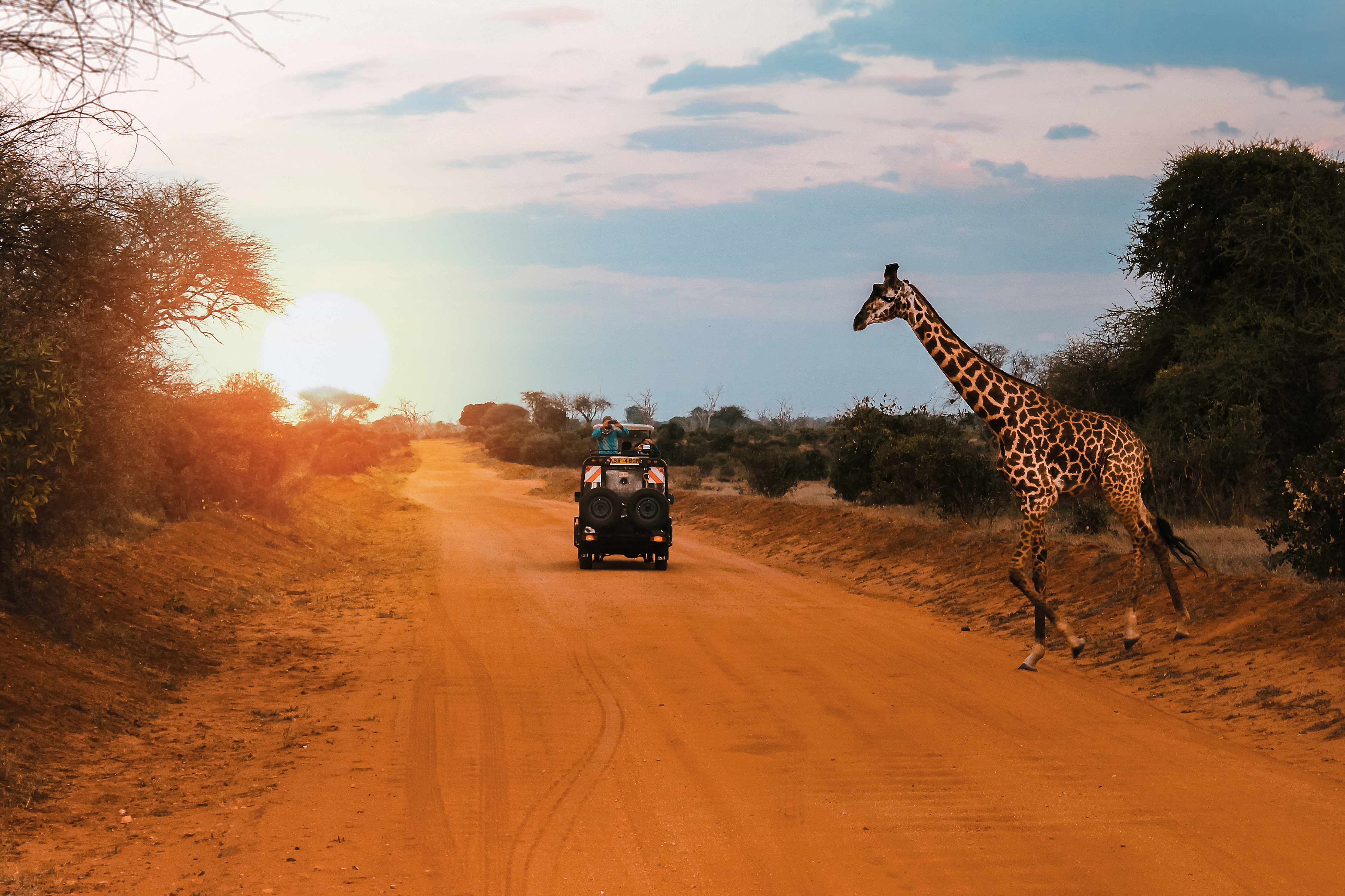 Kenya: Beach and Safari