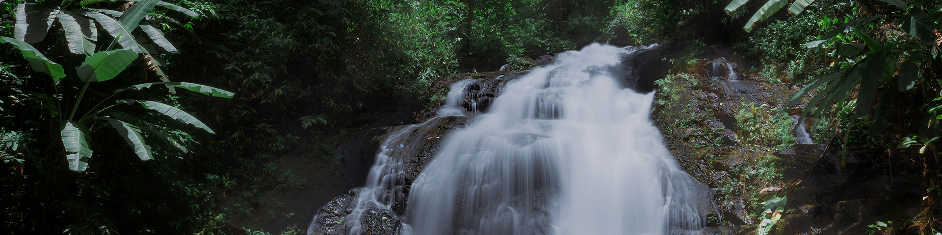 The Leaf Oceanside by Katathani