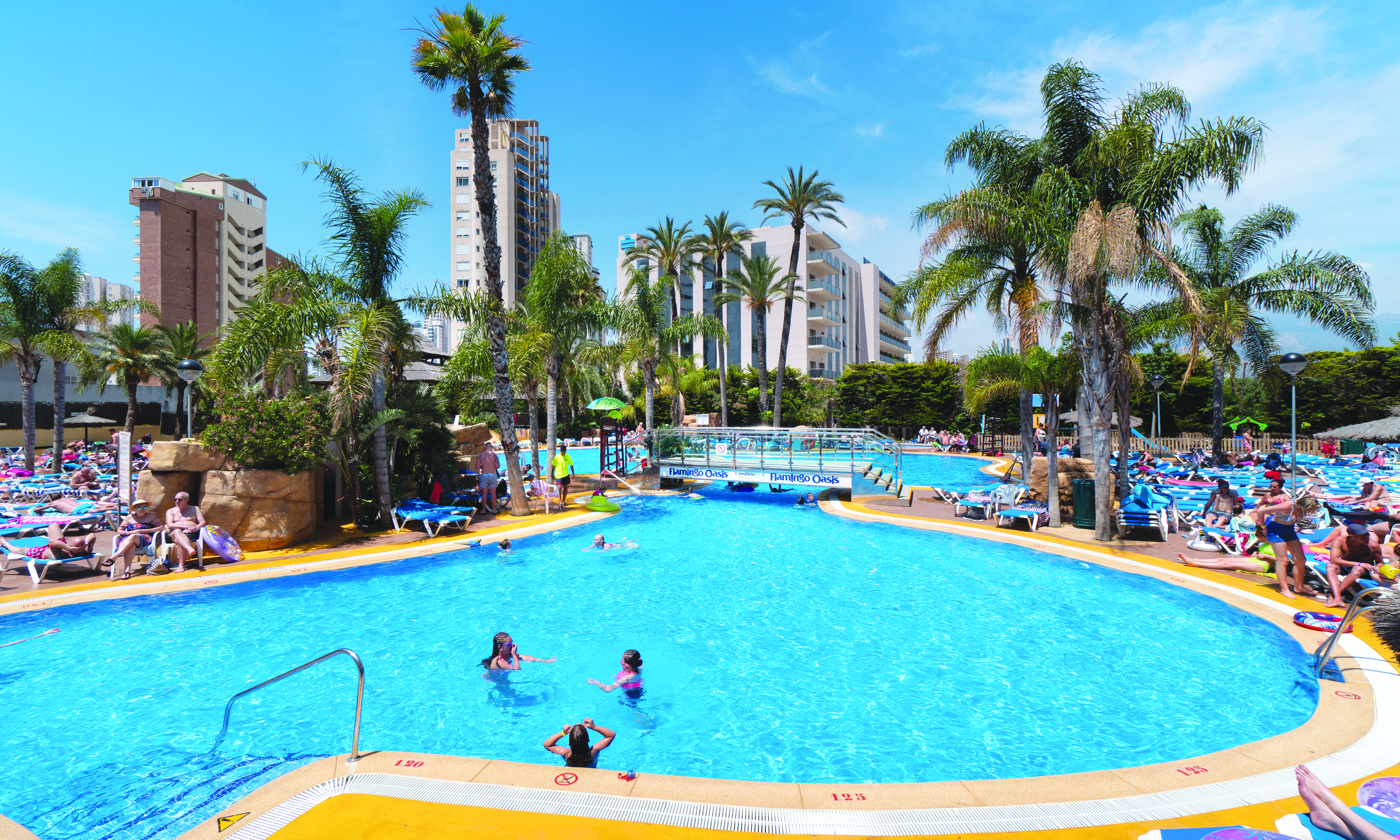 Hotel Flamingo Oasis