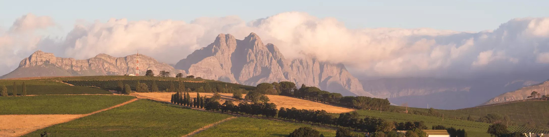 Victoria Falls, Botswana Safari and Cape Town