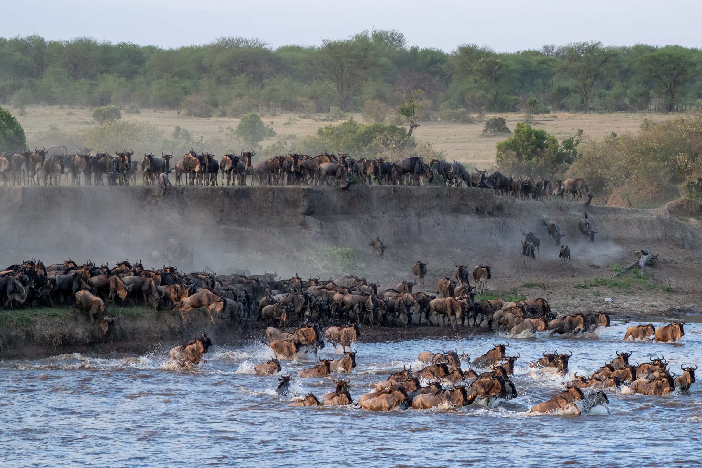 Kenya: Beach and Safari
