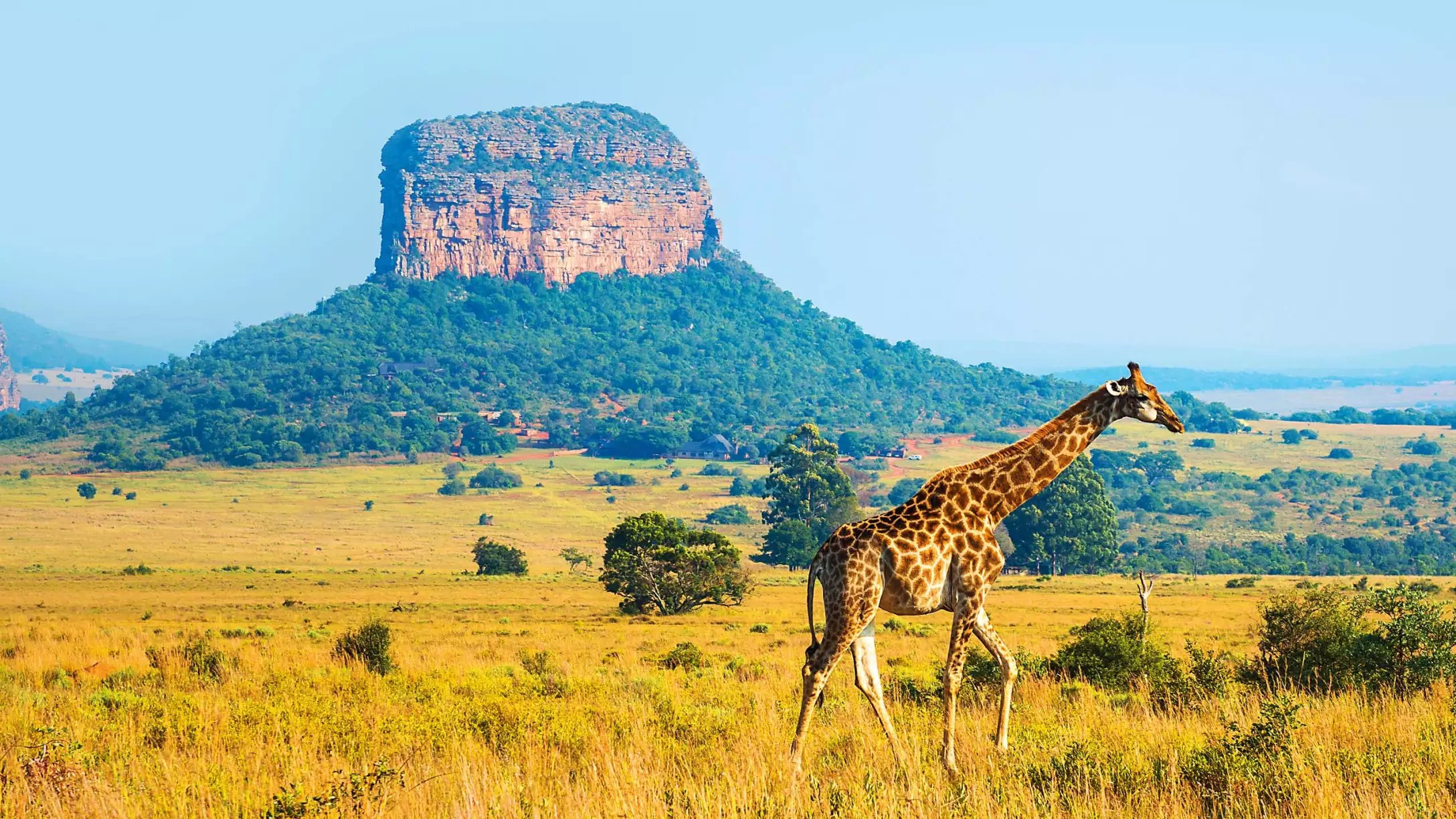 South Africa