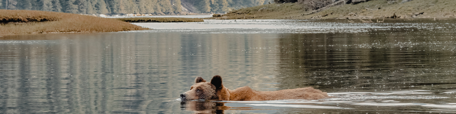 Alaska Cruise