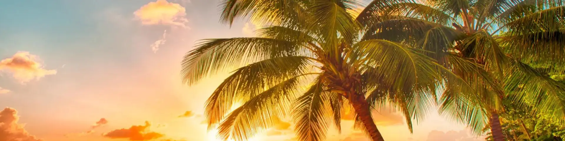 Caribbean Transatlantic