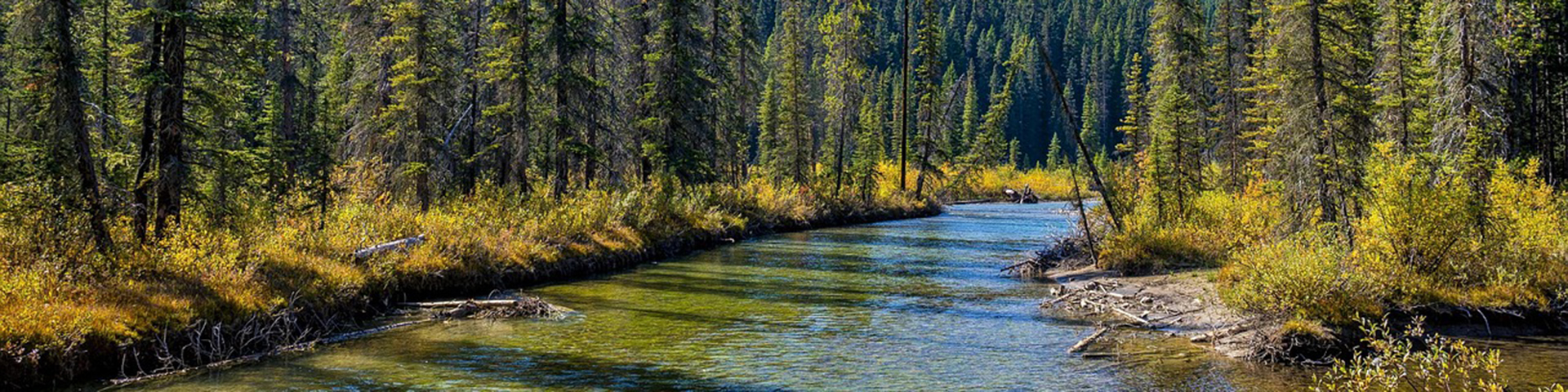 The Rockies Self-drive: Vancouver to Calgary
