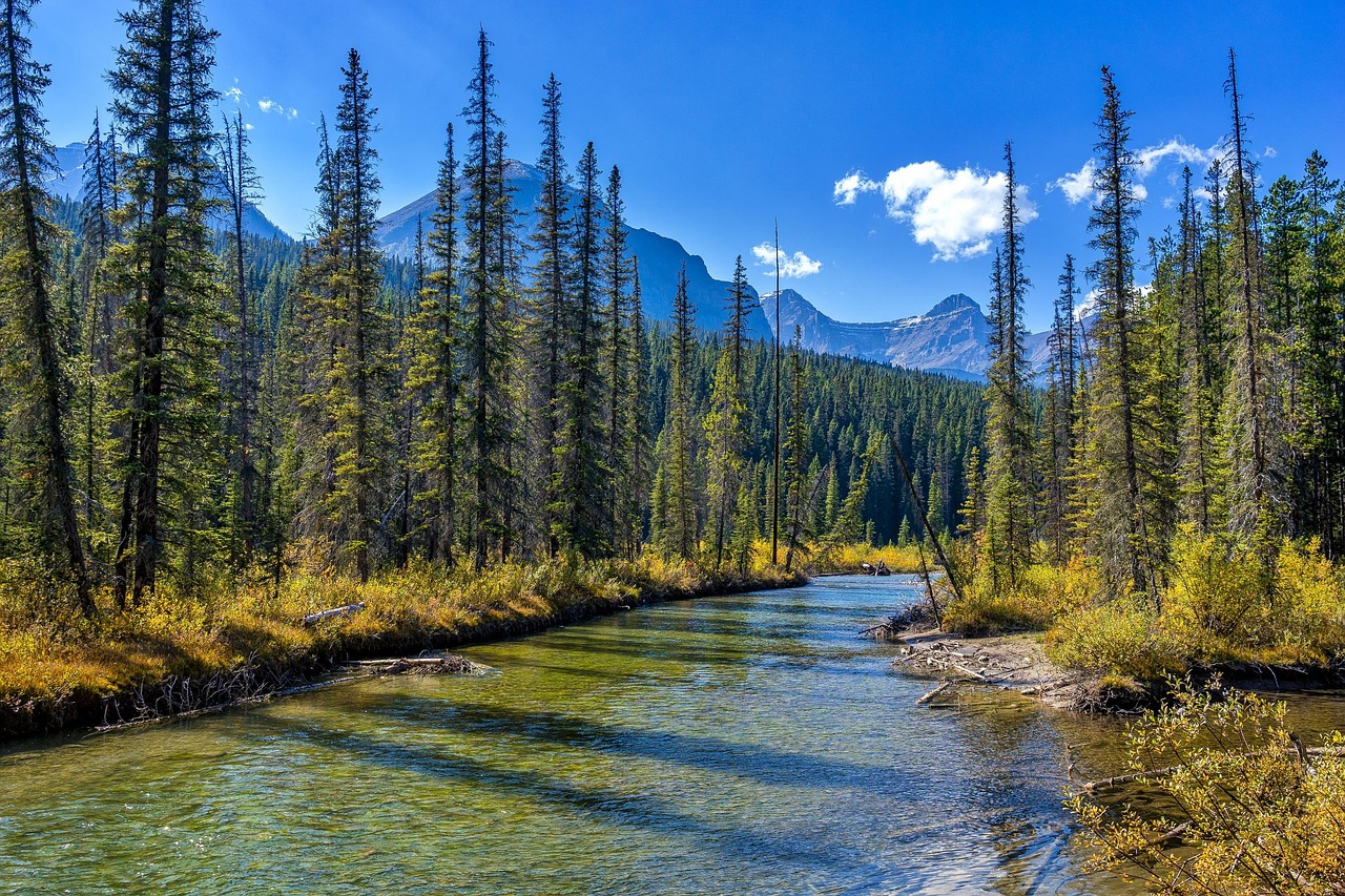 The Rockies Self-drive: Vancouver to Calgary