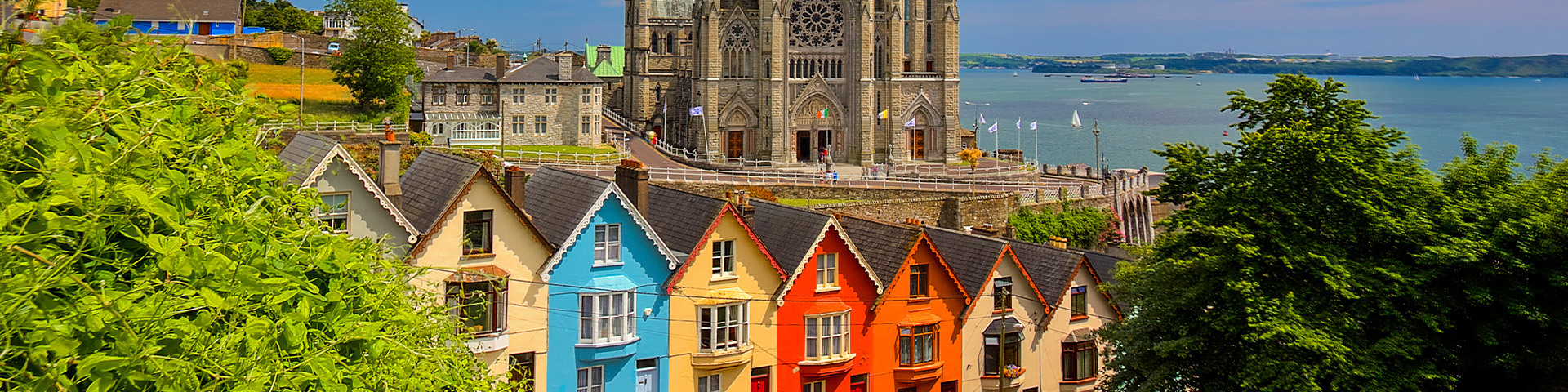 Cork 