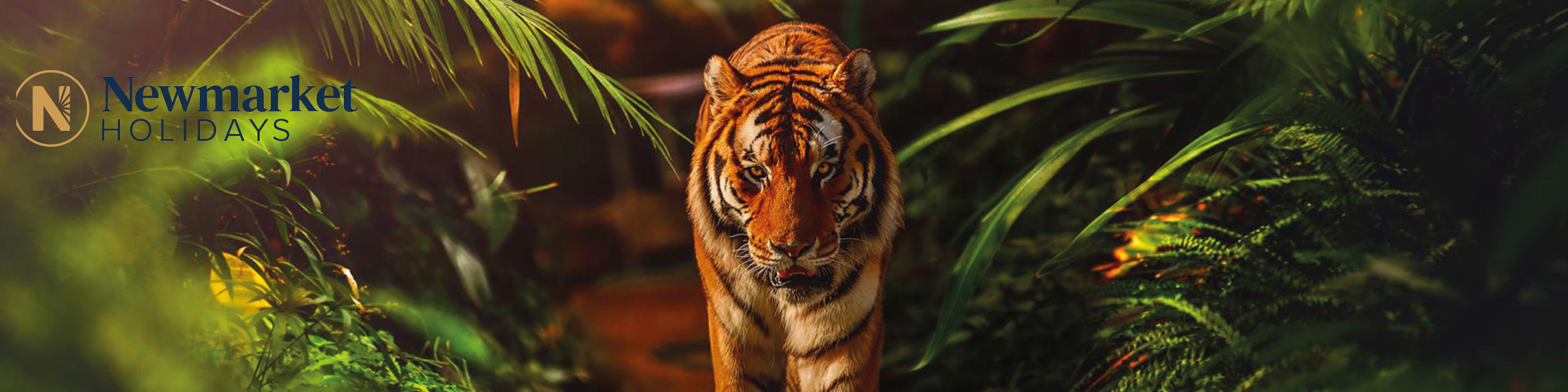 Save 15% off escorted tours of India with Newmarket Holidays when you book by the 30th September