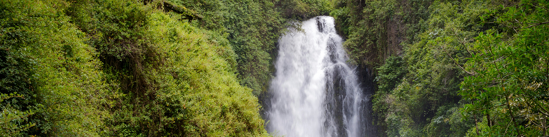 Natural Wonders of Ecuador and the Galapagos