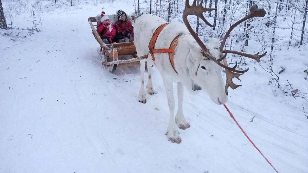 Lapland Santa Experience Day Trip