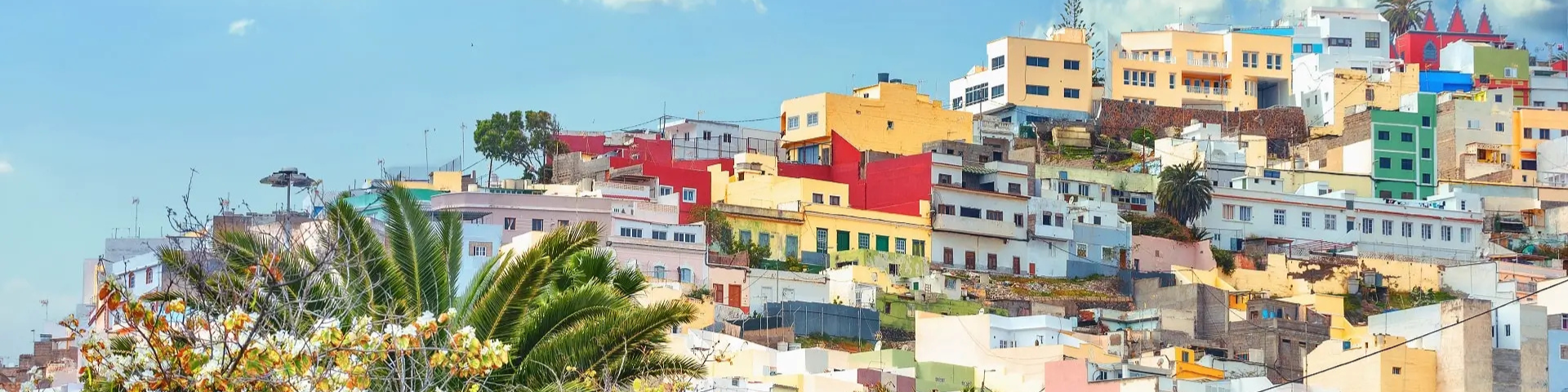 Canarian Flavours