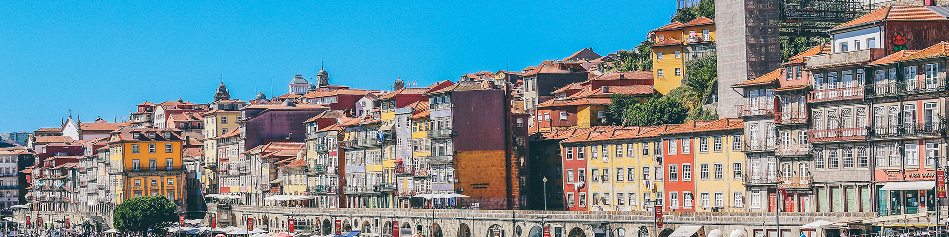 Little Trains of the Douro - Tour