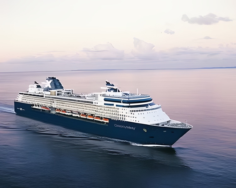 Celebrity Infinity