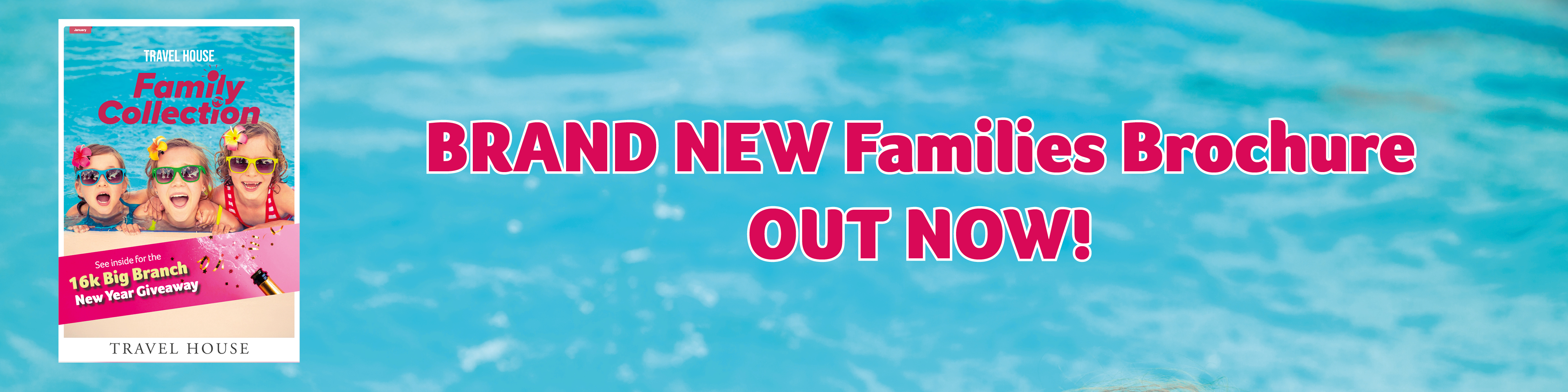 BRAND NEW Families Brochure