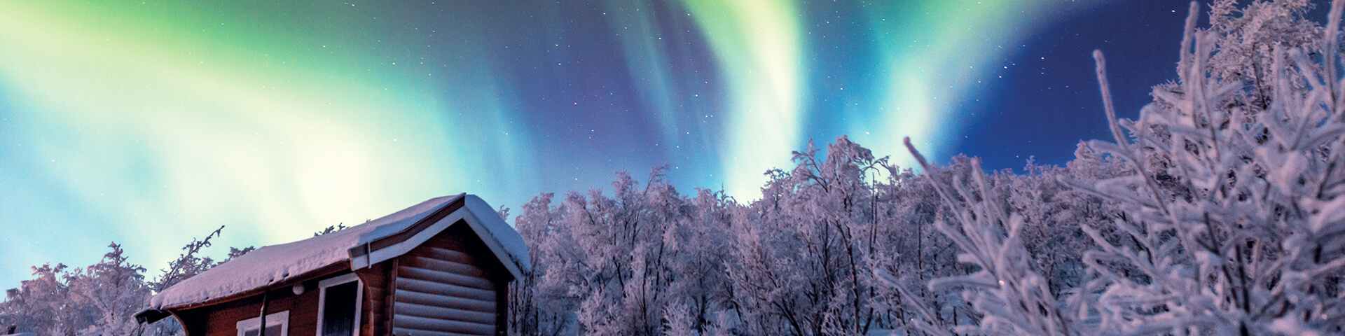 Northern Lights and the Arctic Circle